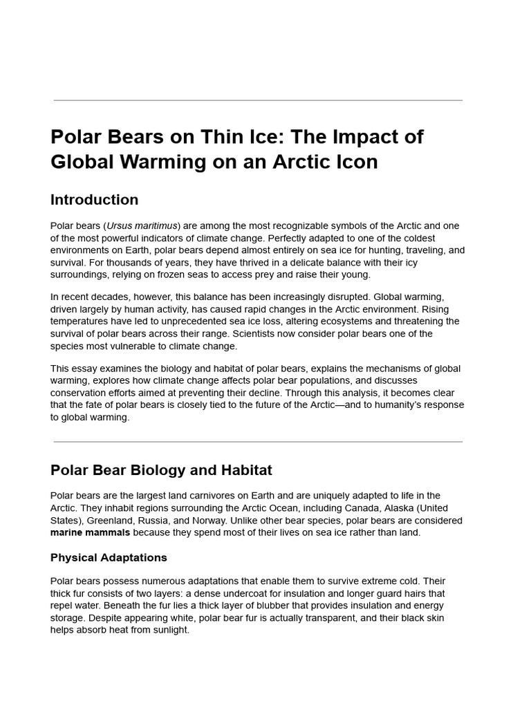 Polar Bears and Climate Change Impact | PDF | Polar Bear | Climate Change
