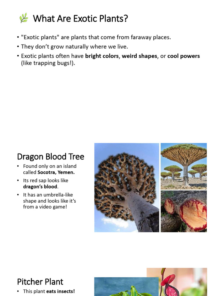 Fascinating Exotic Plants Explained | PDF