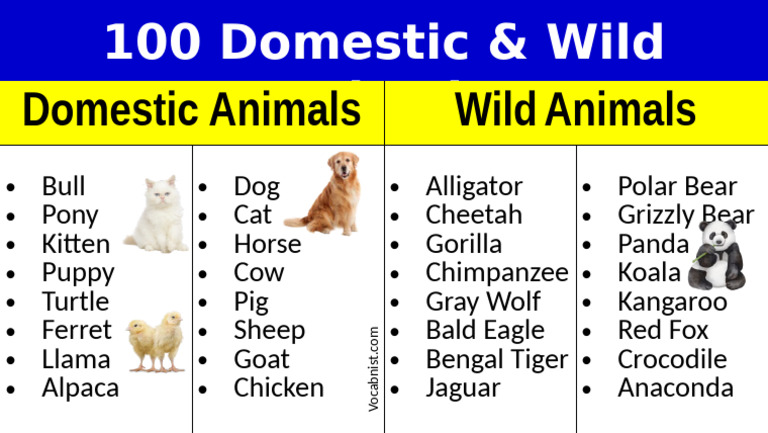 100 Domestic and Wild Animals List | PDF