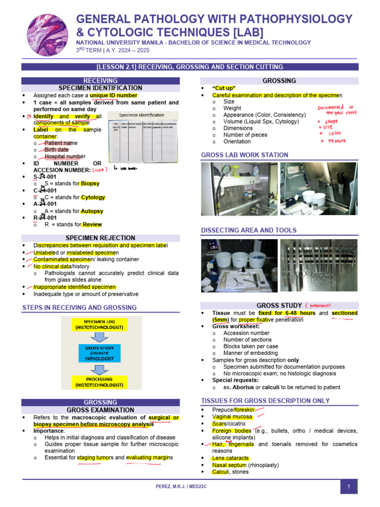 l2.1 Receiving Grossing and Section Cutting PDF | PDF | Biopsy | Pathology