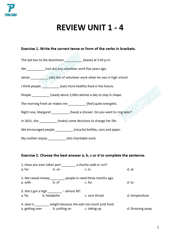 Verb Tense and Sentence Structure Exercises | PDF