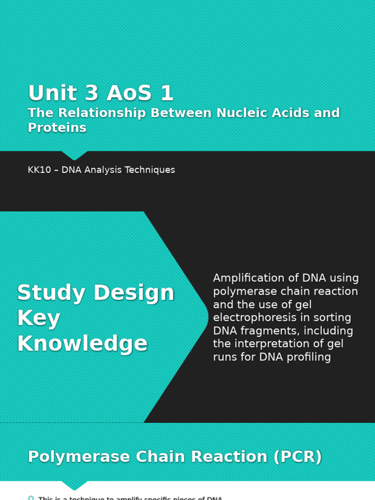 DNA Amplification and Gel Electrophoresis | PDF | Polymerase Chain ...