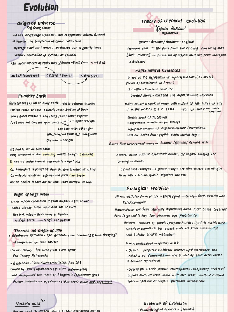 Evolution | PDF