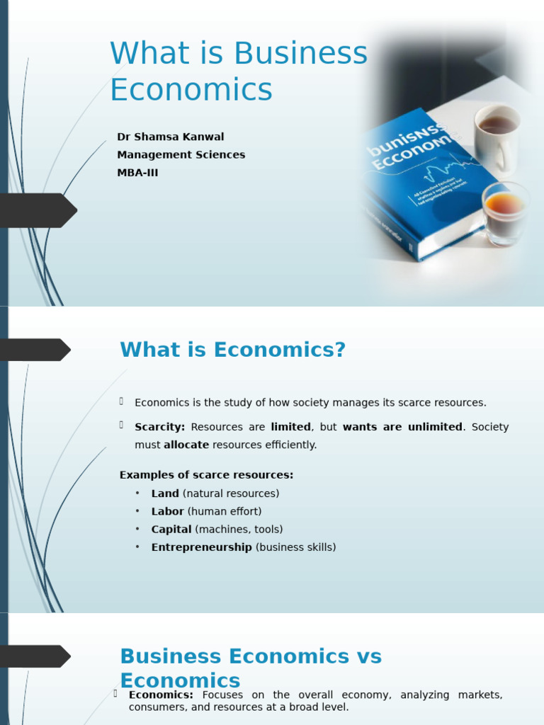 What Is Business Economics MBA | PDF | Economics | Market Failure