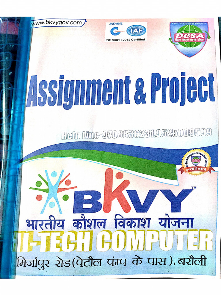 Assignment & Project | PDF