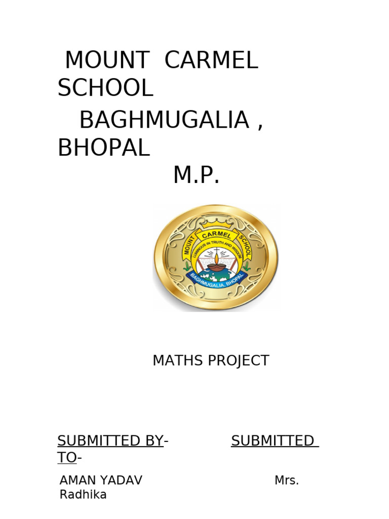 Class 11 A Maths Project Submission | PDF