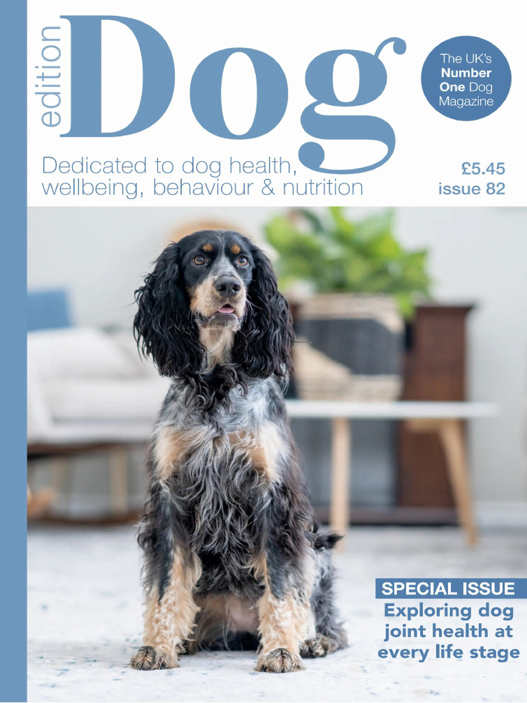Edition Dog I82 2025 | PDF