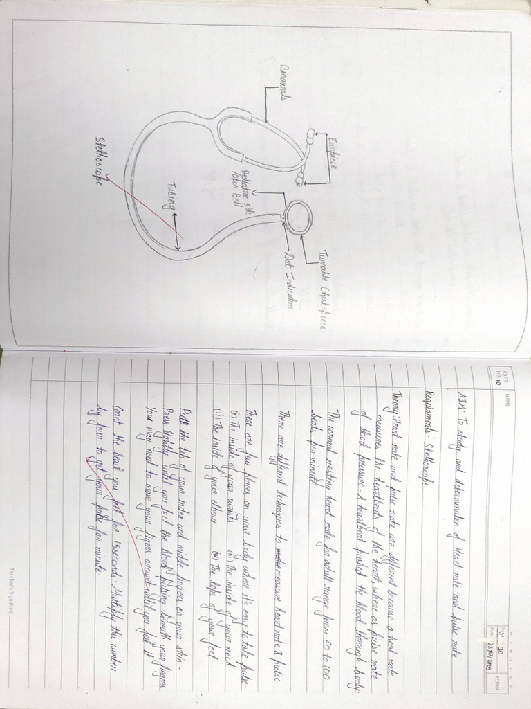 HAP Practical 10-12 | PDF