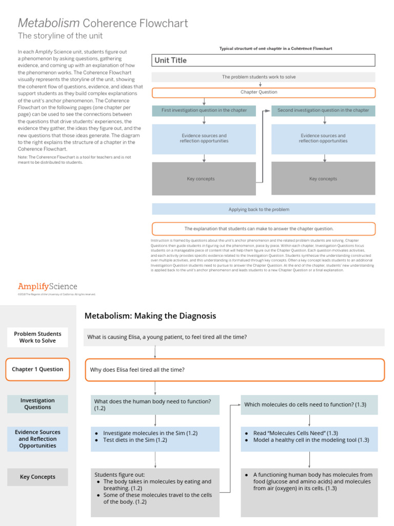 Metabolism Coherence Flowchart Guide | PDF | Cellular Respiration | Glucose
