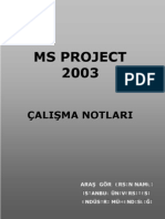 2341281 Ersin NamliMS Project
