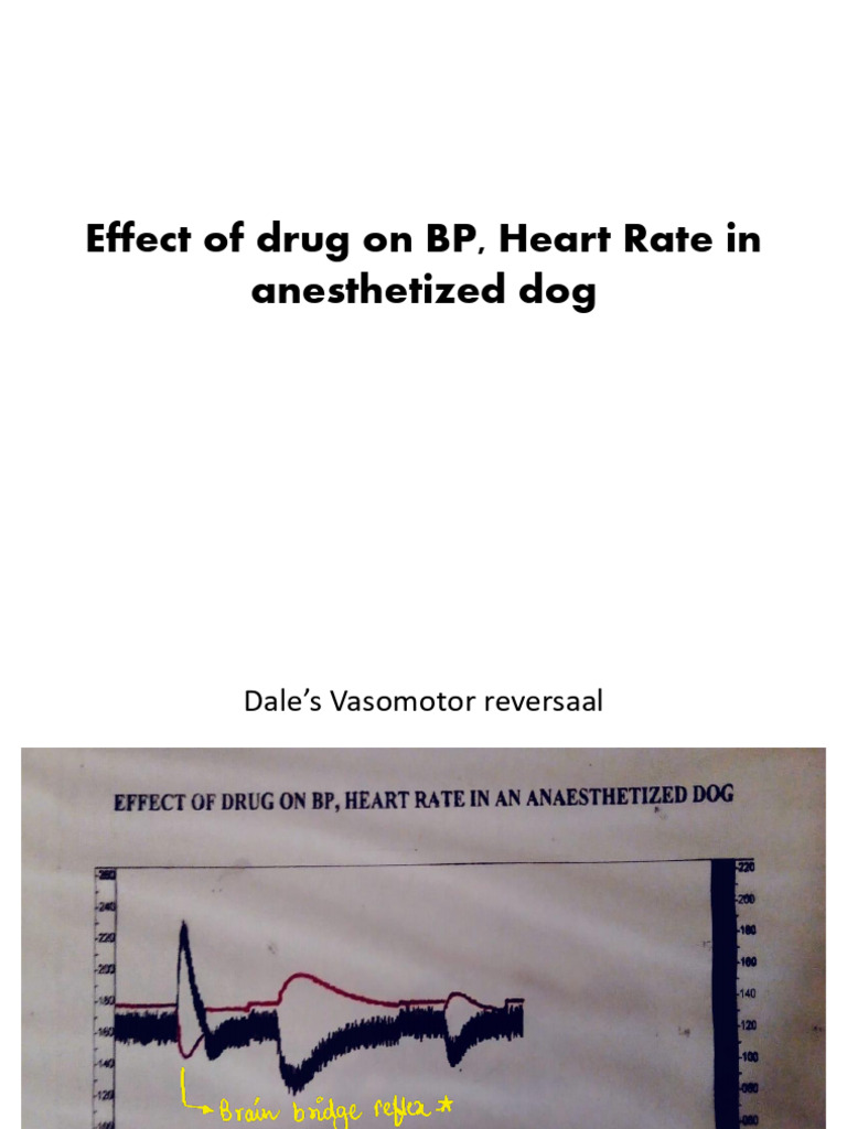 Pharma Graph PracticaI 250430 225530 | PDF