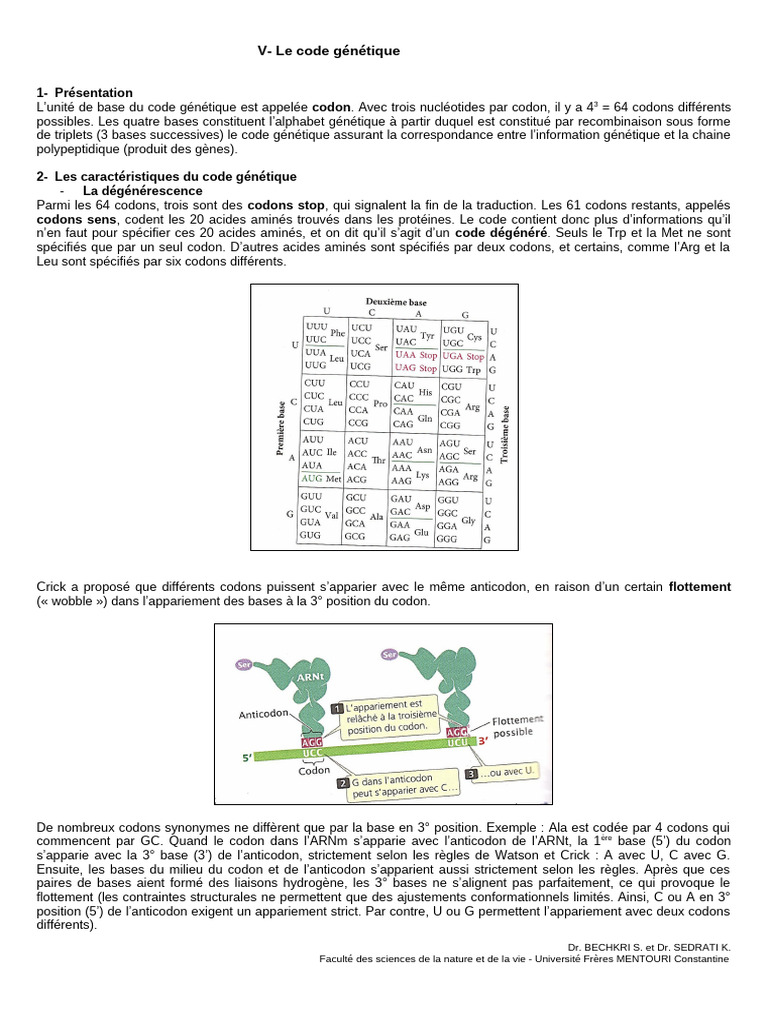 Comprendre le code génétique et ses codons | PDF