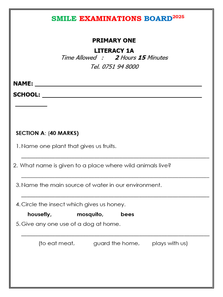 Primary One Literacy Exam 2025 | PDF | Foods | Toothbrush