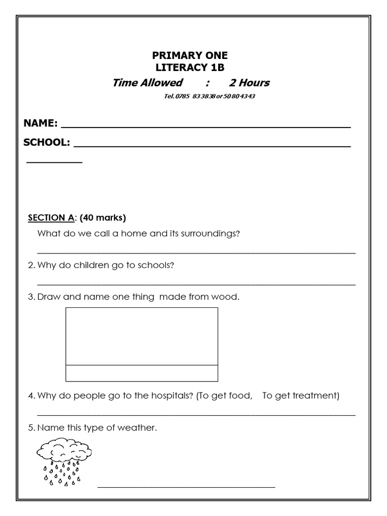 Primary One Literacy Exam 2025 | PDF