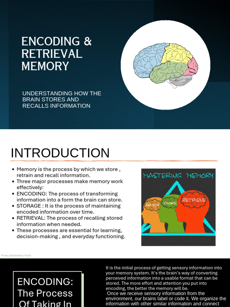 Understanding Memory: Encoding & Storage | PDF | Memory | Recall (Memory)