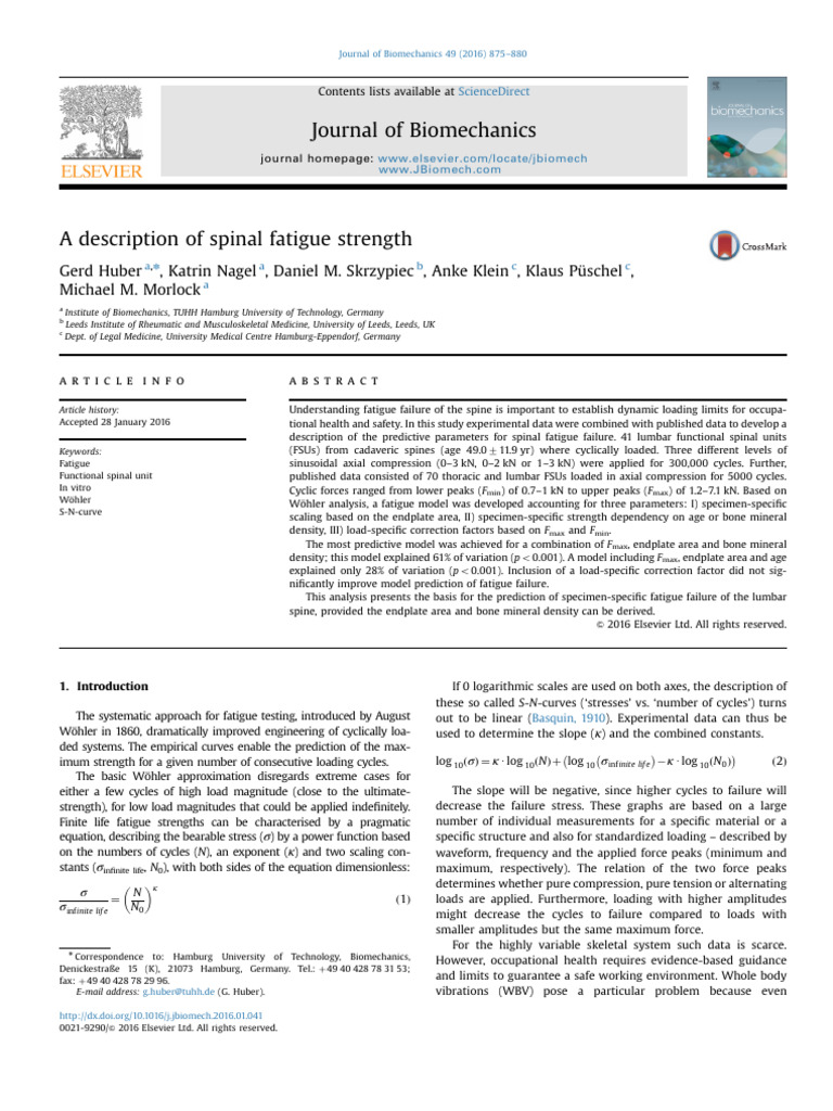 A Description of Spinal Fatigue Strength | PDF | Fatigue (Material ...