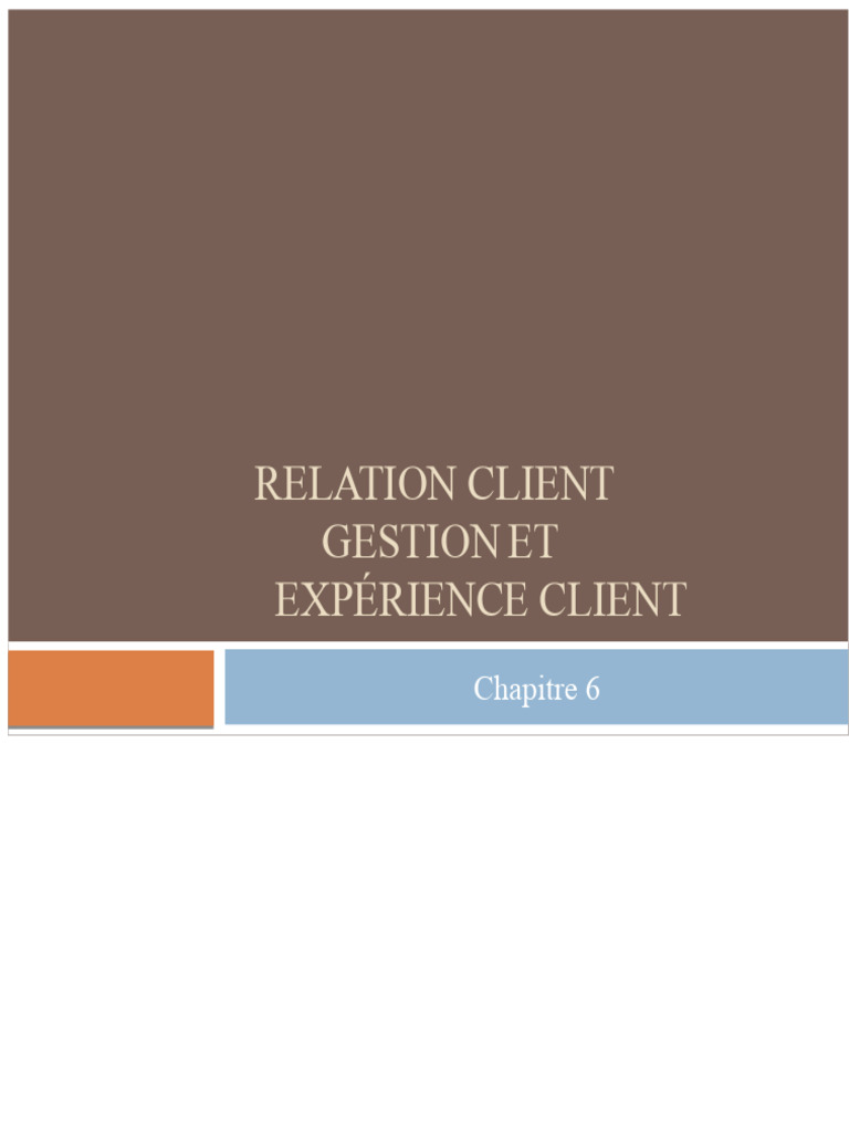 Améliorer l'Expérience Client : Stratégies et Concepts | PDF ...