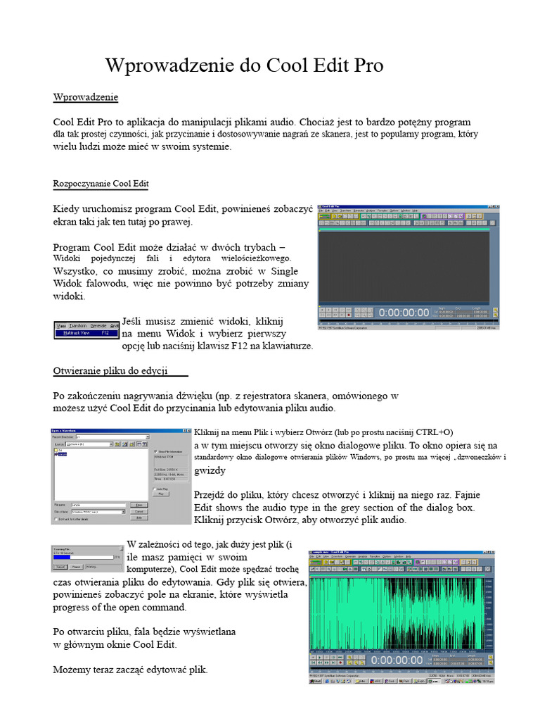 Wprowadzenie Do Cool Edit Pro PDF | PDF