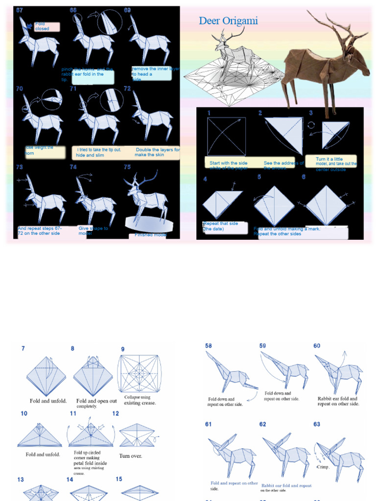 Animals 2 bs.pdf | PDF | Origami