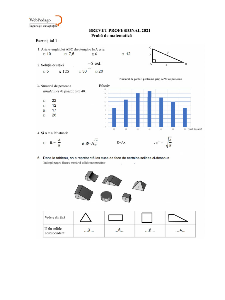 Brevet Pro Matematica Corectat | PDF