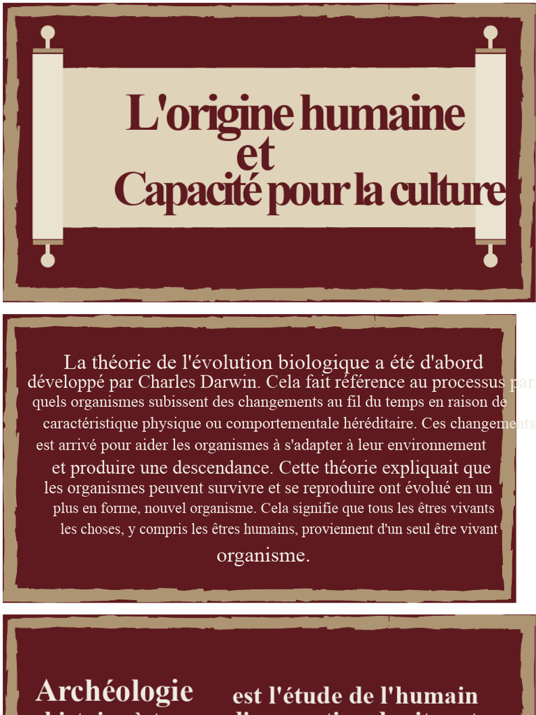 Évolution humaine et culture préhistorique | PDF | Humain | Homo