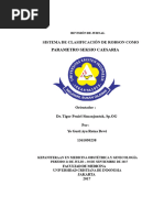 Clasificación de Robson en Cesáreas | PDF