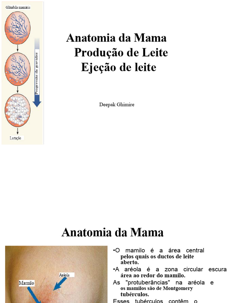 Anatomia e Lactação da Mama | PDF | Mamilo | Amamentação