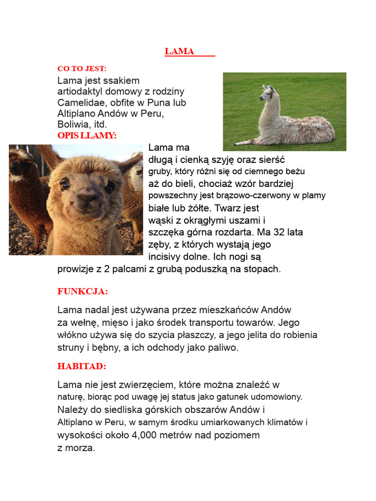 LAMA | PDF