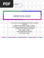 Déclaration de Marchandises 2024 | PDF | Amérique centrale | Transport