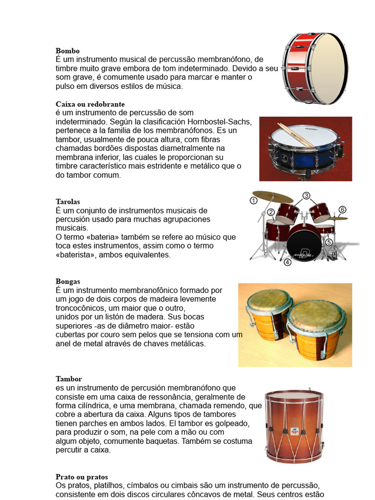 Instrumentos de Percussão e Cordas | PDF | Instrumentos de corda | Cátodo