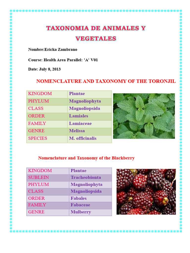 Nomenclature and Taxonomy of Plants and Animals | PDF | Biological ...