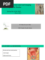Rutherford-Morrison Incision Overview | PDF