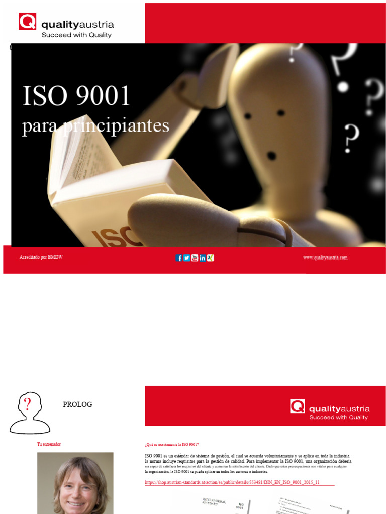 Guía Básica sobre ISO 9001 para Principiantes | PDF | Organización ...
