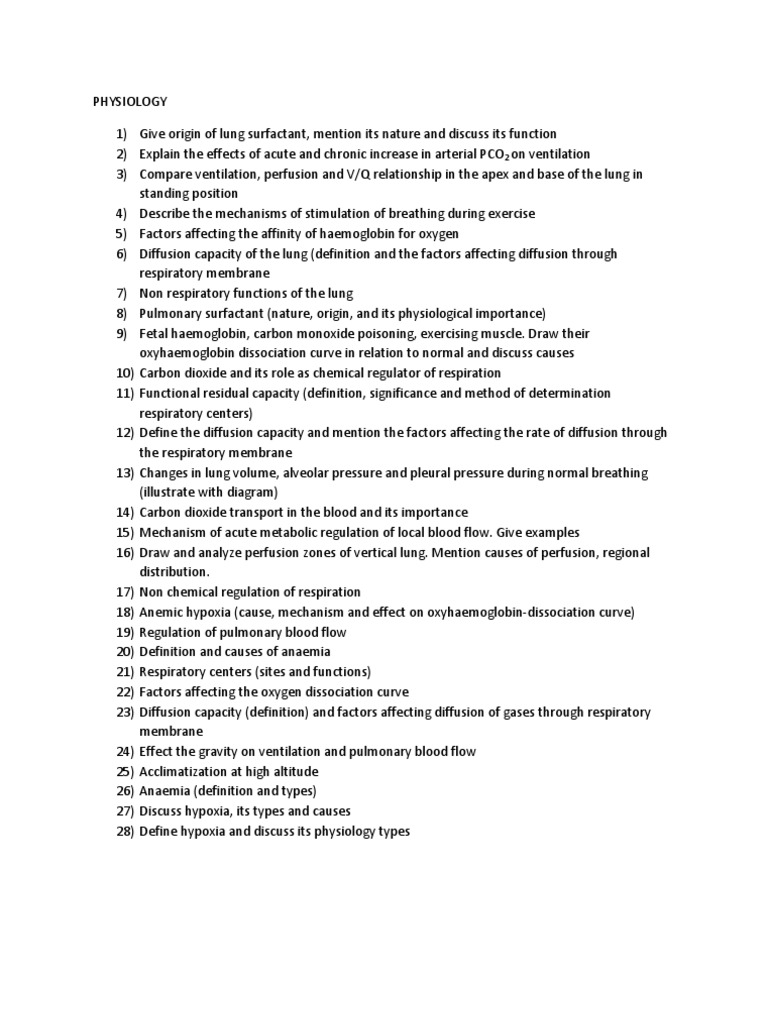 respiratory system essay