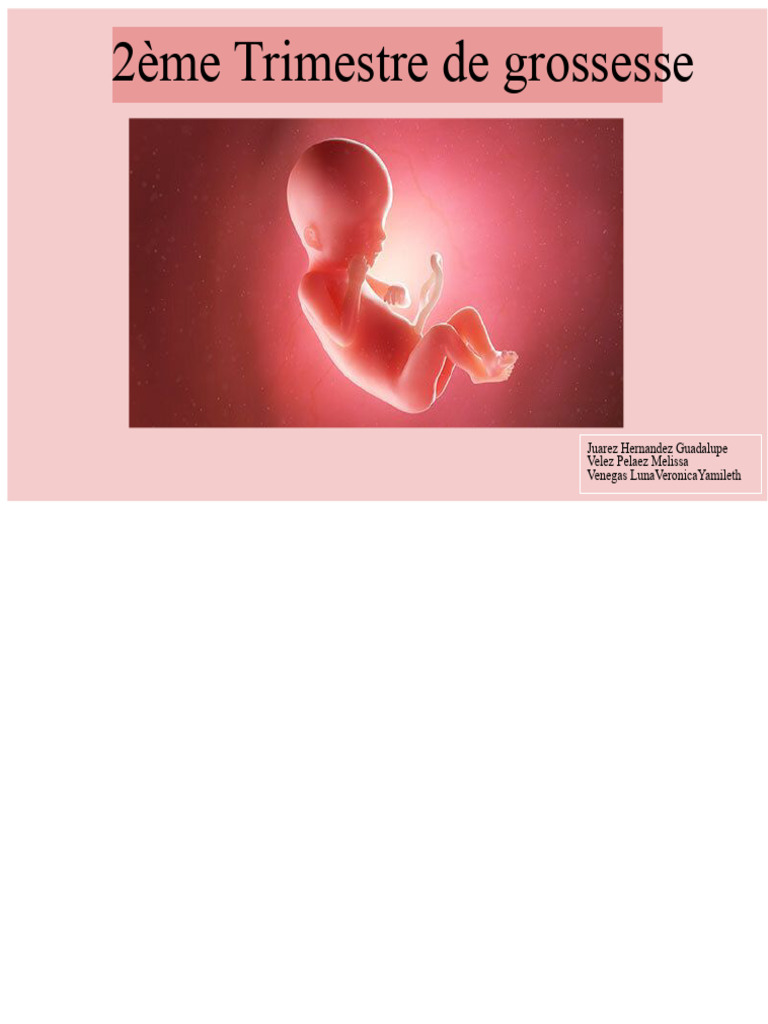 Guide du 2ème trimestre de grossesse | PDF | Grossesse | Accouchement