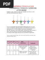 Interventional Vascular Therapy Celsite Access Ports Nursing Guidelines ...