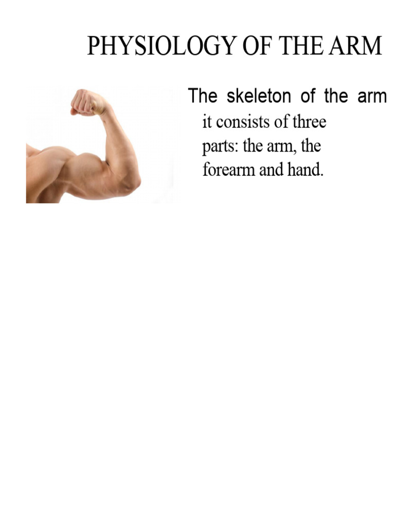 Physiology of the Arm | PDF | Anatomical Terms Of Motion | Thumb