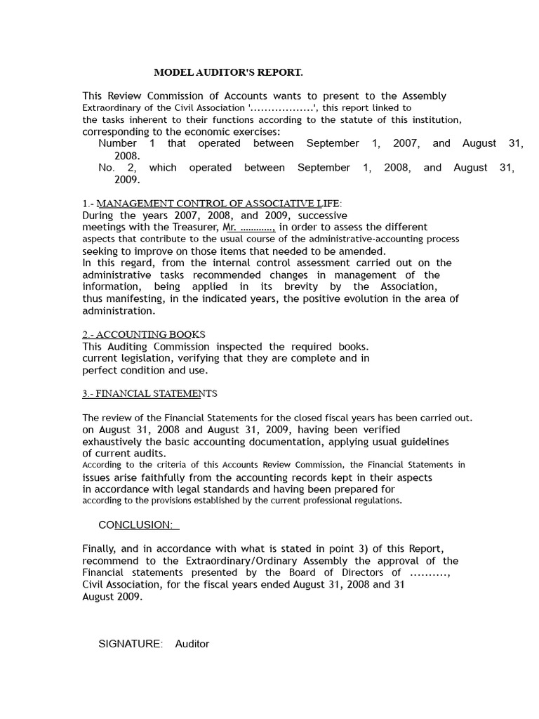 Auditor's Report on Financial Statements | PDF