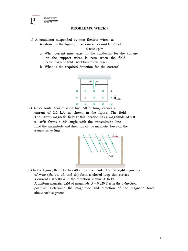 Magnetic Field Calculations and Forces | PDF | Rotation | Magnetic Field