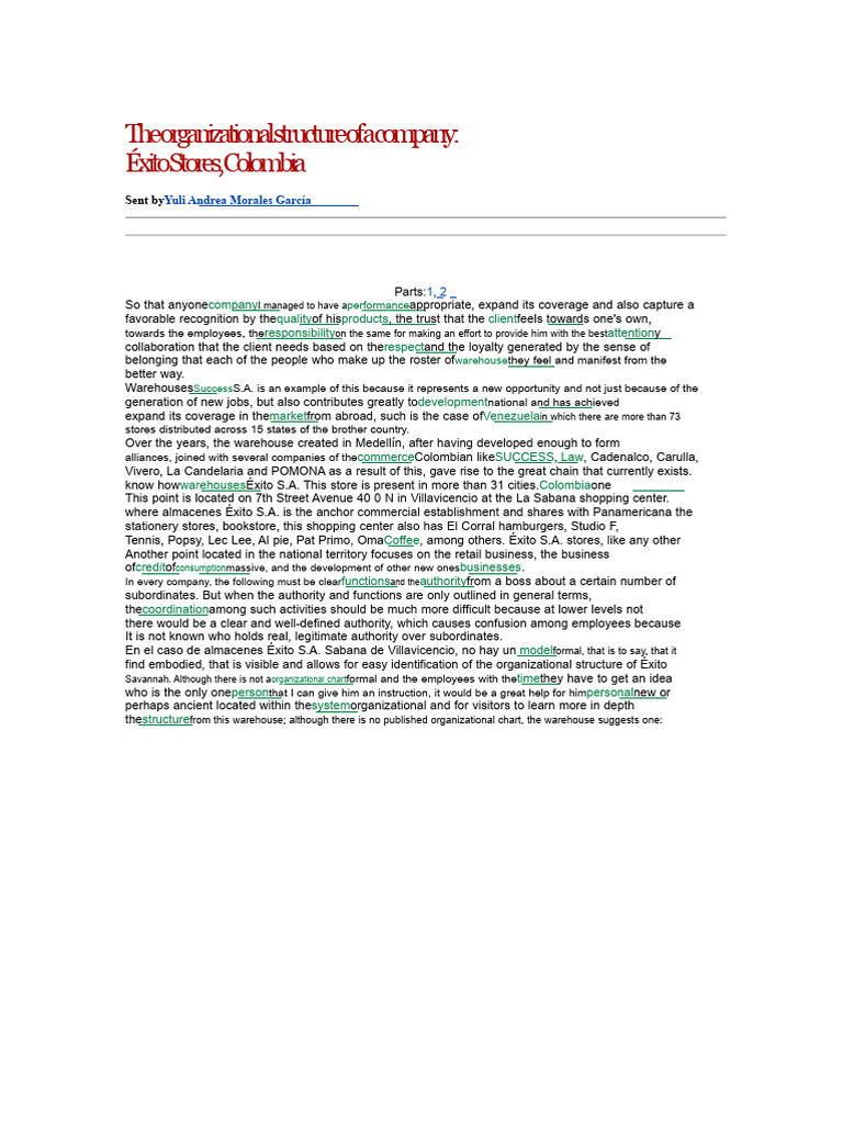 Éxito Stores Organizational Structure Overview | PDF | Customer | Business