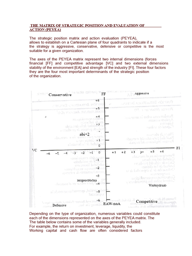 THE PEYEA MATRIX | PDF | Cartesian Coordinate System | Matrix (Mathematics)