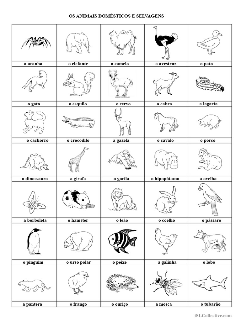 Animais Domésticos e Selvagens Listados | PDF