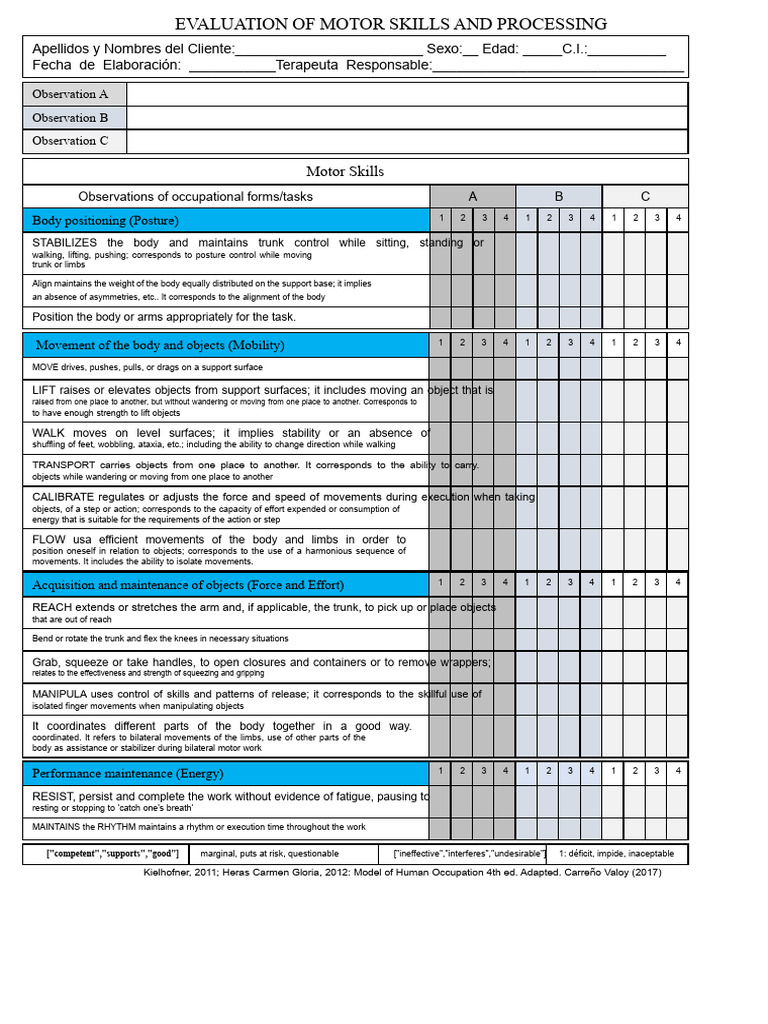 Motor Skills and Processing Evaluation | PDF | Risk | Cognitive Science