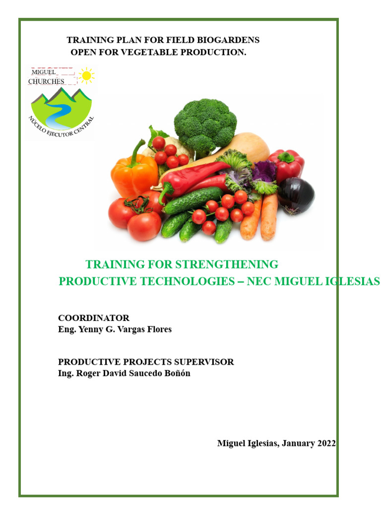 Training Plan For Family Bio-Gardens For Vegetable Production | PDF ...