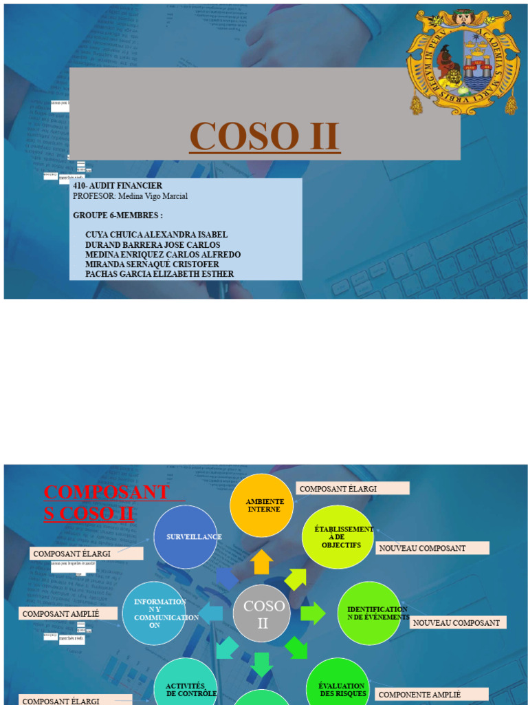 Gestion des Risques selon COSO II | PDF