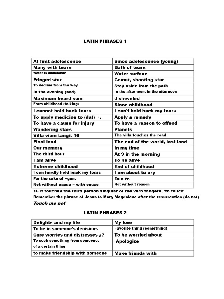 Essential Latin Phrases Guide | PDF