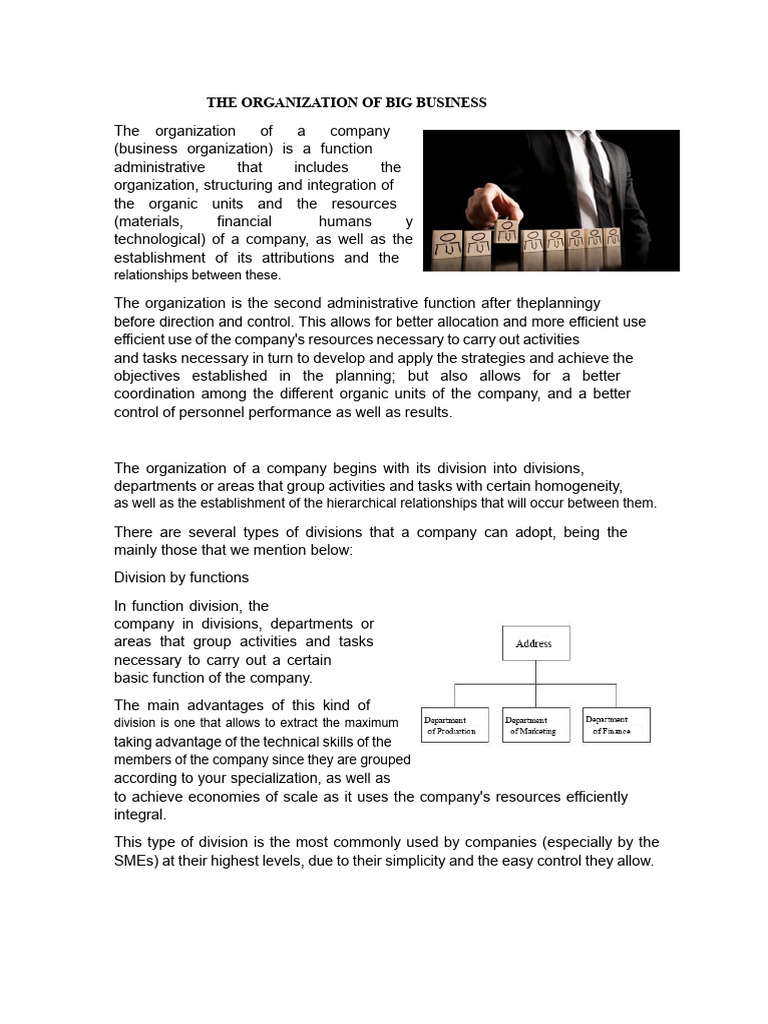 The Organization of Big Business | PDF | Business | Business Economics