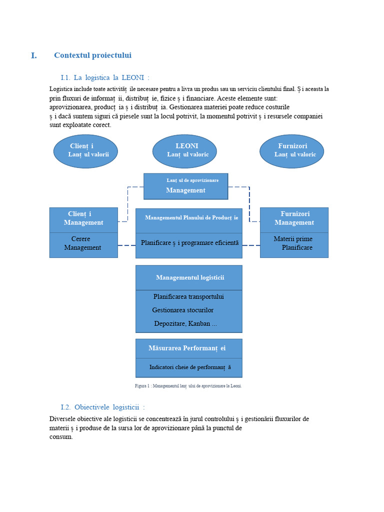 Contextul Proiectului LEONI, Optimizarea Fluxului | PDF