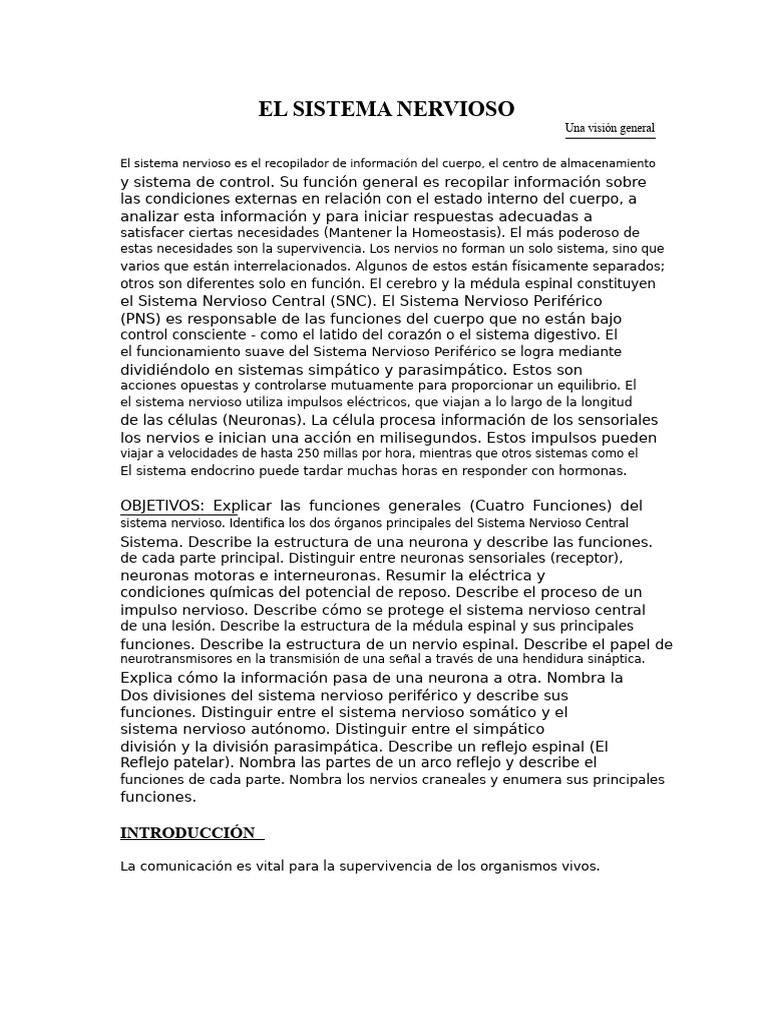 Funciones y Estructura del Sistema Nervioso | PDF | Potencial de acción ...