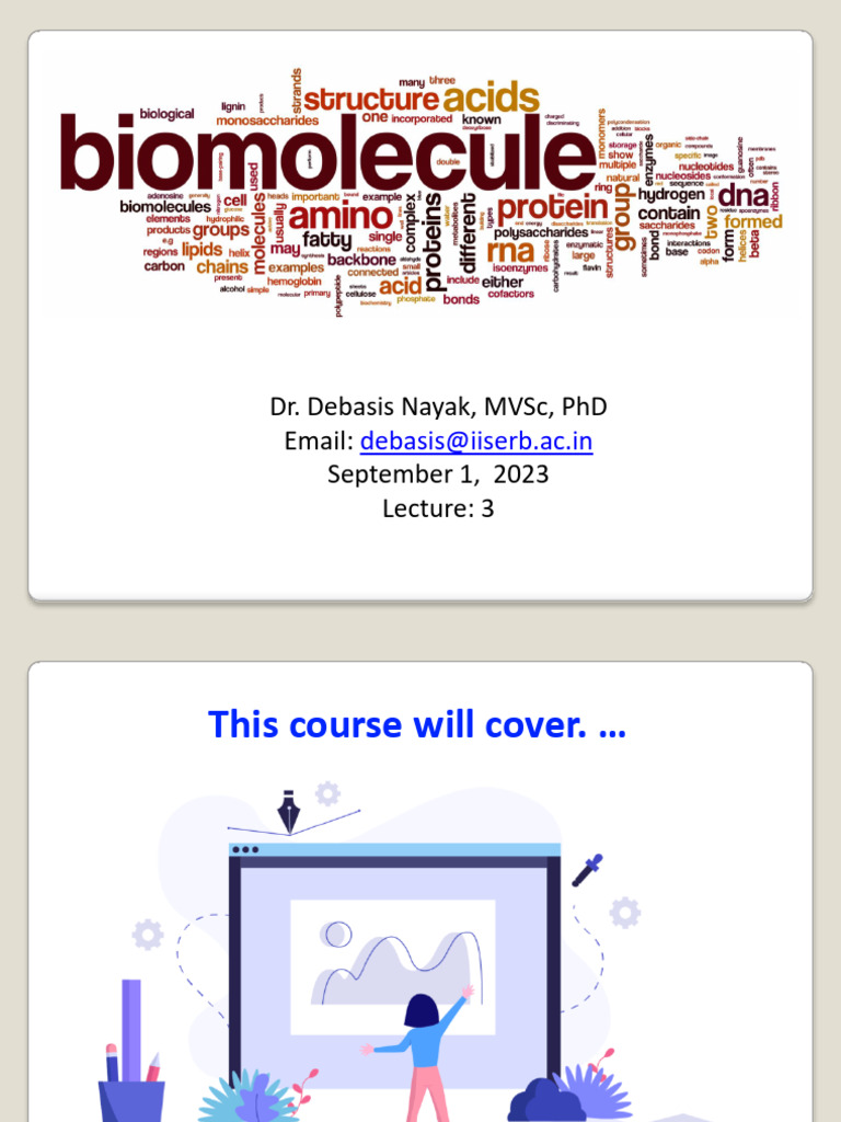 Lecture 3 Biomolecules Overview | PDF | Carbohydrates | Hydrolysis